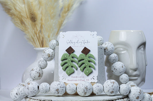 New botanical monstera